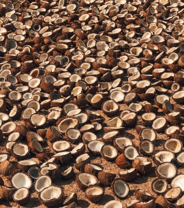 Coconut Shell